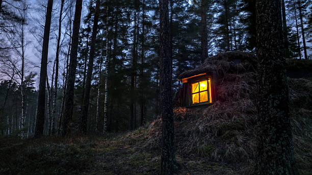 istock Cozy Swedish 'burial mound'  like shelter 512545995