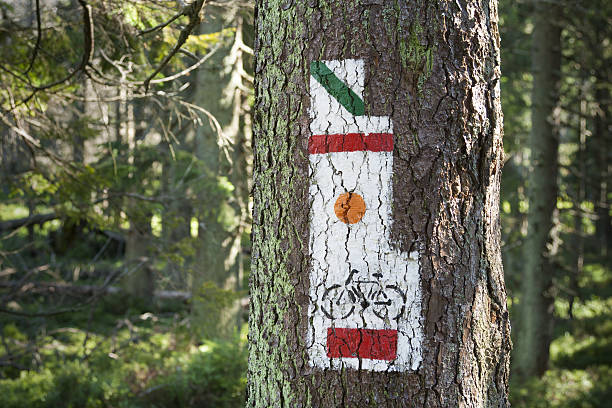 istock Poland, Gorce Mountains, trail blazing marks 512546203