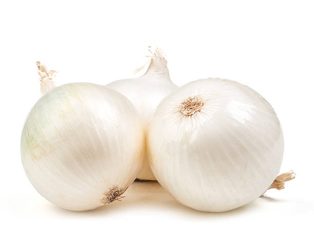 белый лук салат изолированные - onion стоковые фото и изображения