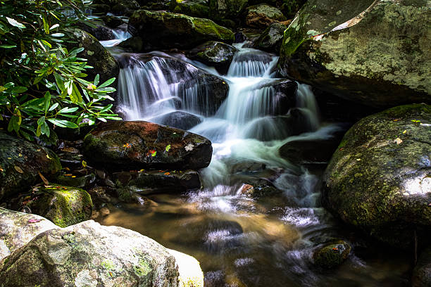 pacífica montanha - blue ridge mountains stream forest waterfall - fotografias e filmes do acervo