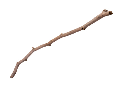 Wooden Twig isolated with a clipping path, on a white background. Full focus front to back.