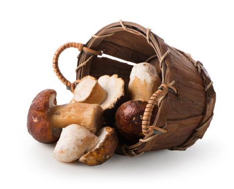 Mushrooms in a wooden basket isolated on white