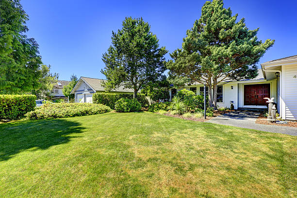 istock American house exterior. Ideas for landscape 512549415