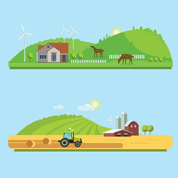 Rural landscapes with fields, hills, and tractor Farm life: natural economy, agriculture,  harvesting, life in the countryside, rural landscapes with fields and hills. Tractor in the field harvests. Vector flat illustration wheat ranch stock illustrations