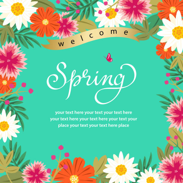 кадр с цветочным рисунком spring - single flower chrysanthemum design plant stock illustrations