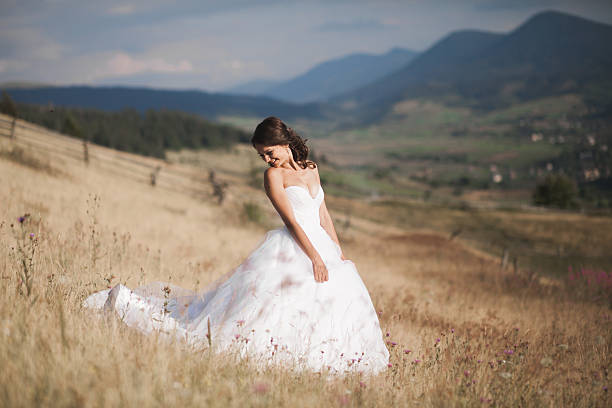 istock Gorgeous bride in elegant dress posing at sunny summer day 512553980