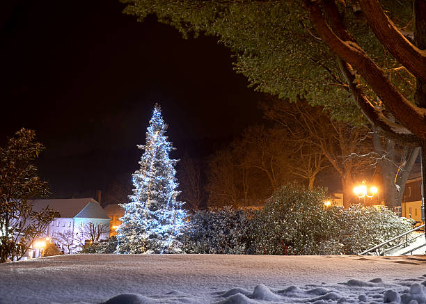 istock Town with a Christmas tree in winter at night 512554314
