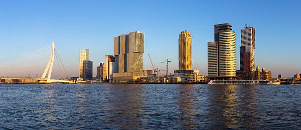 Rotterdam skyline at sunset stock photo