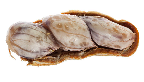 istock Closeup of half brown boil peanut on white background 512554822