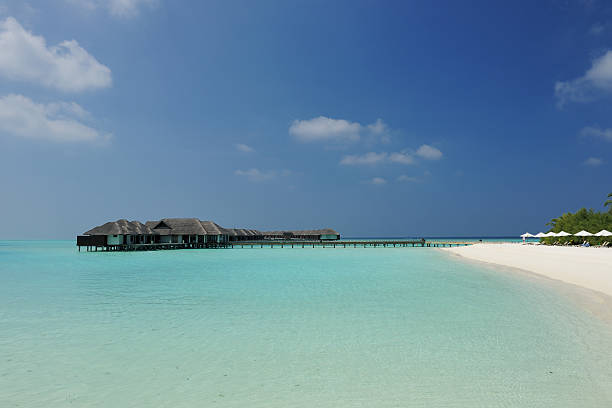istock Beautiful beach with water bungalows 512554858