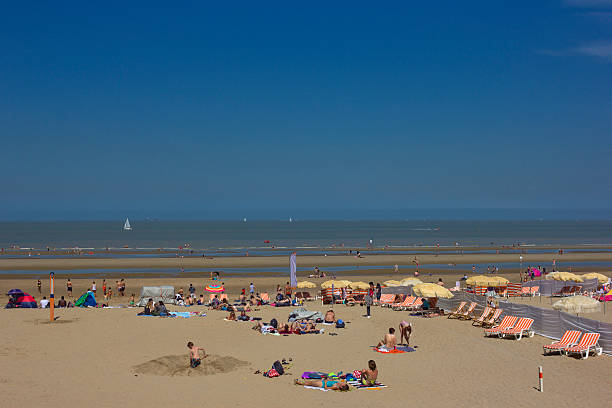 sunbathing people on the beach in blankenberge, belgium - blankenberge strand stockfoto's en -beelden