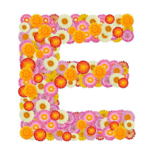 istock Letter E alphabet with straw flower isolated on white background 512556364