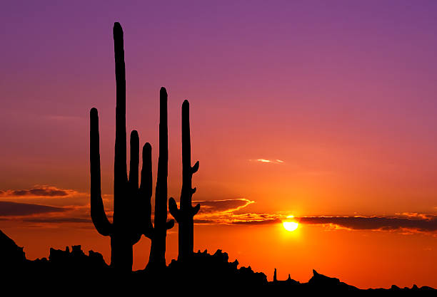istock Sunset in mexican canyon 512556378
