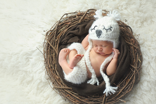 Three week old, newborn baby boy wearing a white, crocheted owl hat and shorts. He is sleeping on his back in a nest.