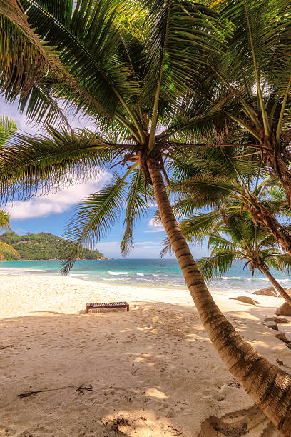 istock Beautiful beach at Seychelles 512568878