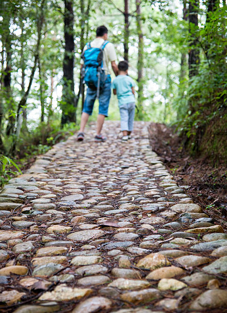 Father and son walking on a footpath in forest.
