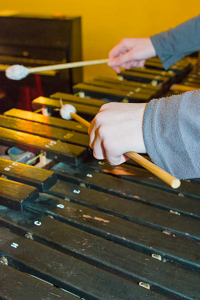istock Hands of musician playing the xylophone 512572402