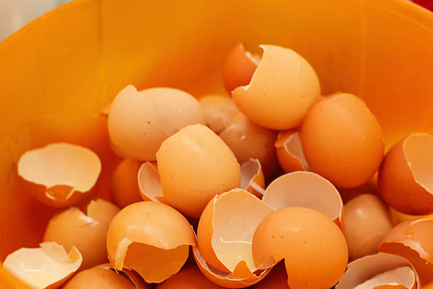 istock Eggshell at the market in the dish 512572773