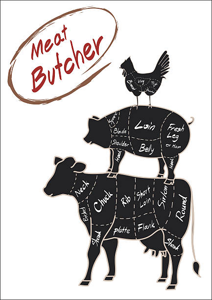 kontur der bauernhof tier kuh schwein, hühnchen mit namen kollektion - wound cutting beef vector stock-grafiken, -clipart, -cartoons und -symbole