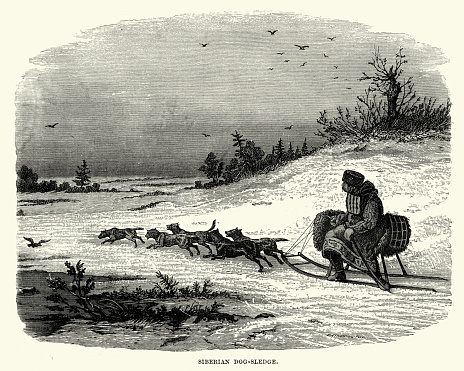 Vintage engraving showing a Siberian Dog Sledge, 19th Century