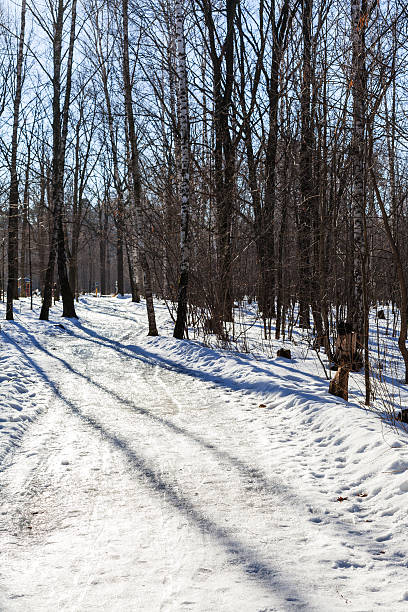 istock slippy footpath in urban park in winter 512574478