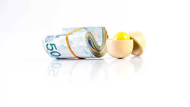 réplica de huevo de madera y ringgit de malasia 50 moneda nota - flowing finance currency fragility fotografías e imágenes de stock
