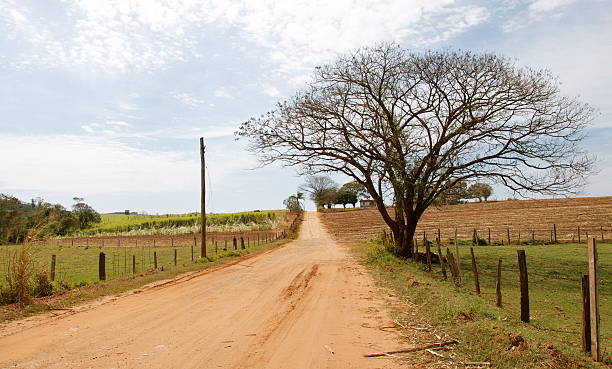 istock Brazilian Rural Area 512574955