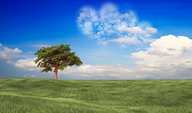 istock Picture of a a heart cloud on blue sky 512576663