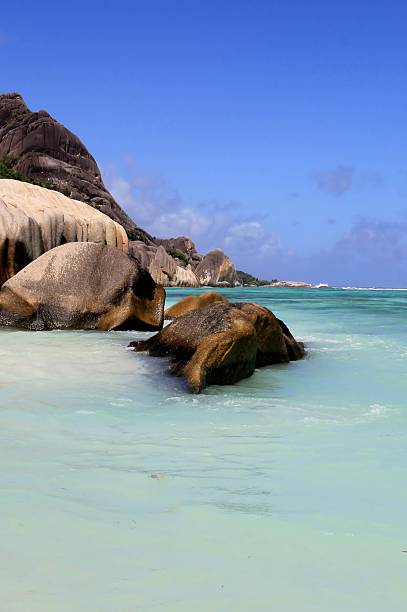 plage, île tropicale, seychelles - turtle photos et images de collection