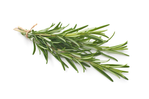 fresh rosemary herb leaves isolated on white