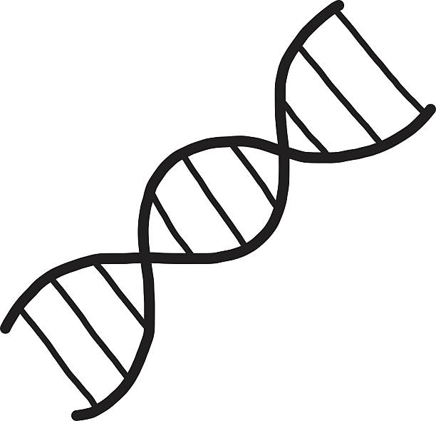Isolated Dna Drawing 60+ Clip Art Of A How To Draw A Dna Strand Stock Illustrations, Royalty ...