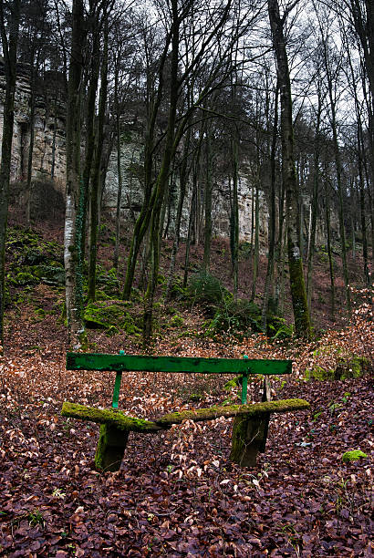 Green broken wood bench in front of rock wall in Eifel forest near Teufelsschlucht canyon. Rhineland Palatinate, Germany. February 2016