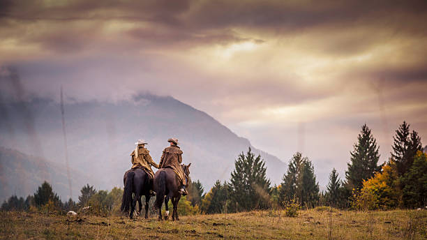 ковбой и скотнице на лошадях через луг - wide meadow two animals horse стоковые фото и изображения