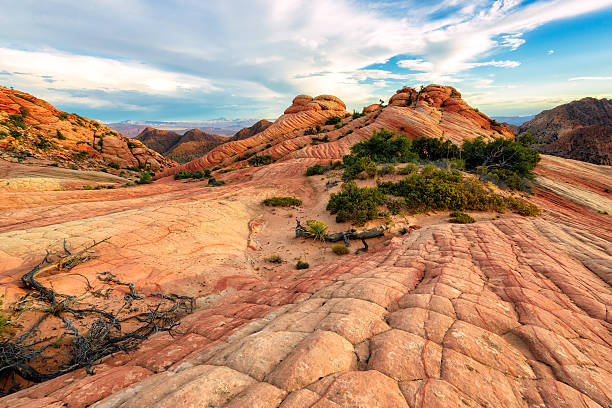 istock Amazing plateau from white and red sandstone, Yant Flat, Utah 512592550