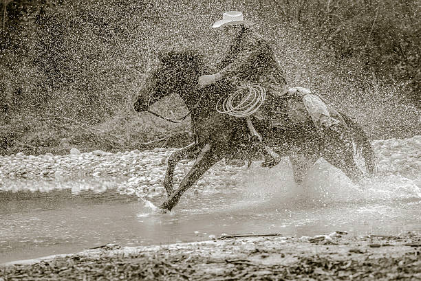istock Cowboy riding across a river in the forest 512592990