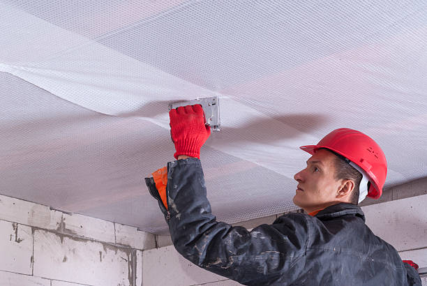 istock installation of a vapor barrier 512596604