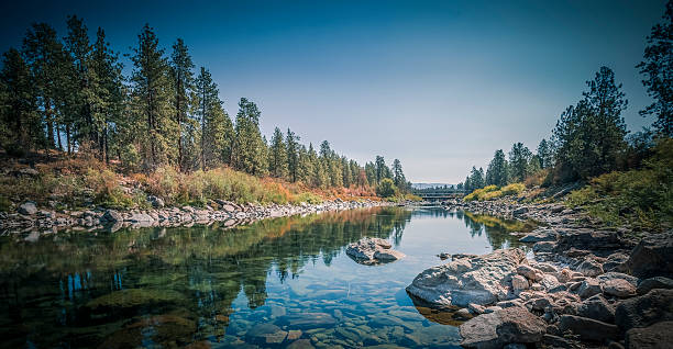 río spokane centennial trail - pine wood forest river fotografías e imágenes de stock