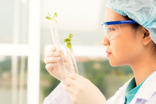 Young laboratory assistant examining sprouts in the test tubes, side view