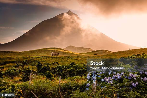 Azorian Volcano Pico With Fog Passing Over Stock Photo - Download Image Now - Azores, Pico - Azores, Island