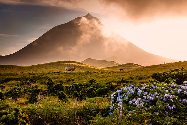 vulcão azorian pico com nevoeiro passando por cima - pico açores imagens e fotografias de stock