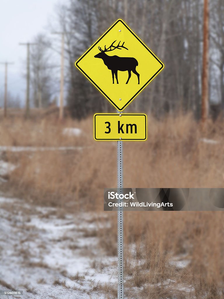 Señal de cruce de Elk completo - Foto de stock de Columbia Británica libre de derechos