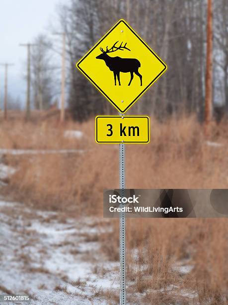 Señal De Cruce De Elk Completo Foto de stock y más banco de imágenes de Columbia Británica - Columbia Británica, Señal de circulación, Aire libre