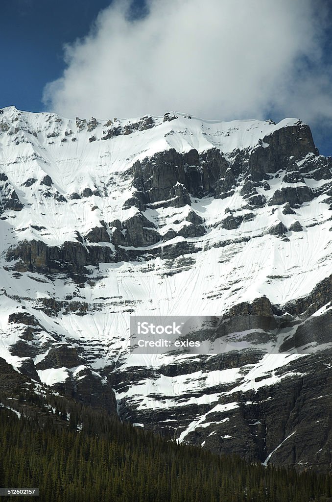 Montañas rocosas canadienses, avalancha senderos, parque nacional de Banff - Foto de stock de Aire libre libre de derechos