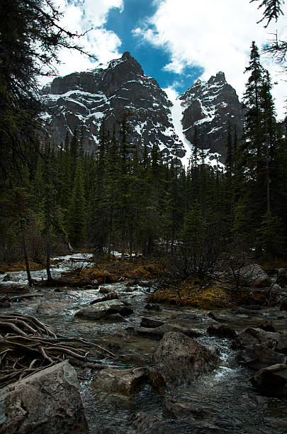 istock Meltwater into Lake Louise 512602353