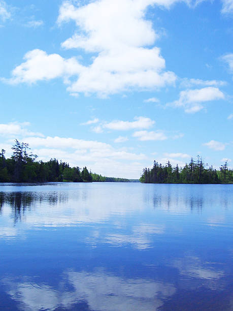 istock Canadian Lake in Summer 512602665