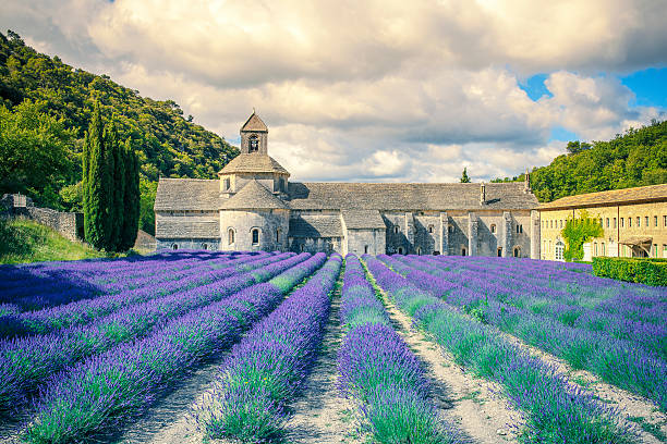 istock Abbey of Senanque in morning light. 512605015