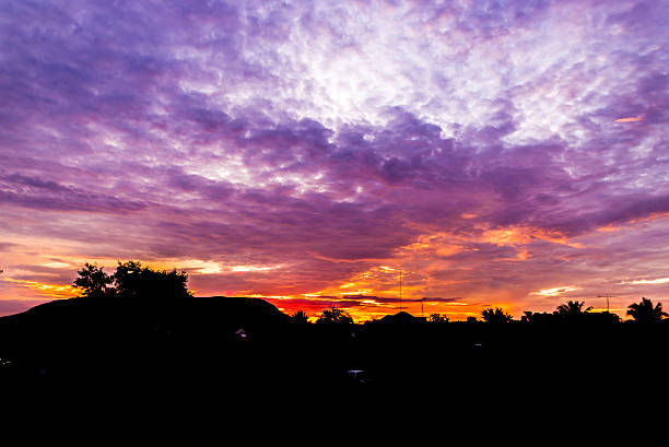 istock Silhouette tree on sunrise clouds. texture sunrise clouds. early 512605865