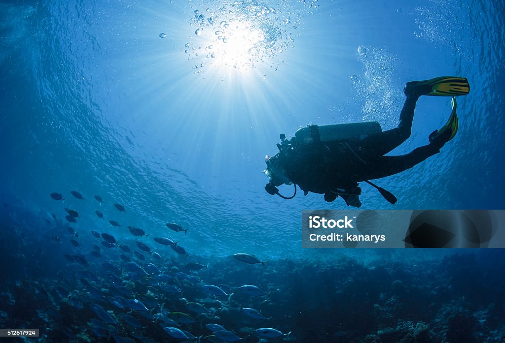Diver swims in a Red Sea Diver swims in the Red Sea in Egypt. Diving Into Water Stock Photo