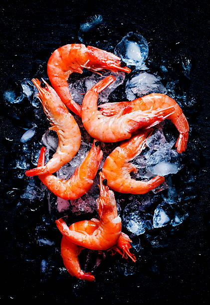 istock Food flat background, shrimp and ice 512619966