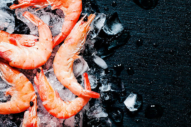 istock Food flat background, shrimp and ice 512620092